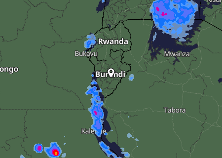 Niederschlagsprognose
