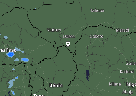Niederschlagsprognose