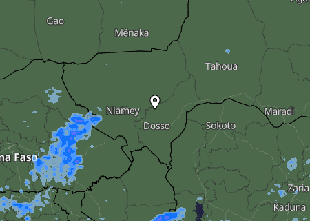 Niederschlagsprognose