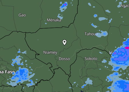 Niederschlagsprognose