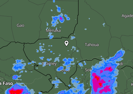 Niederschlagsprognose