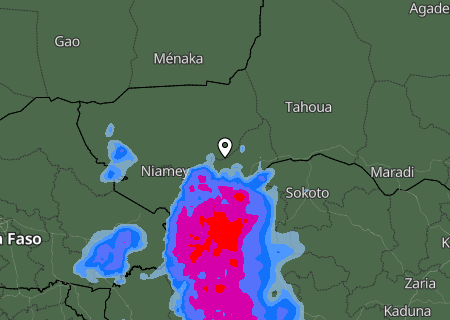 Niederschlagsprognose