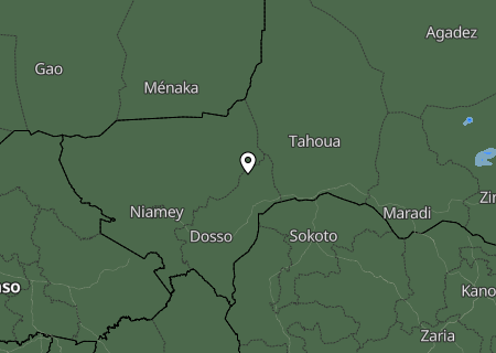 Niederschlagsprognose