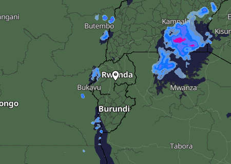 Niederschlagsprognose