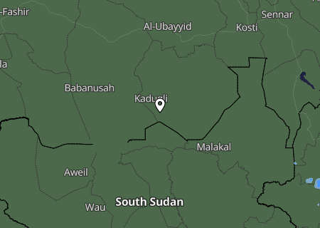 Niederschlagsprognose