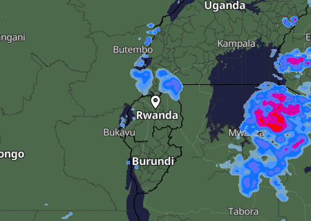 Niederschlagsprognose