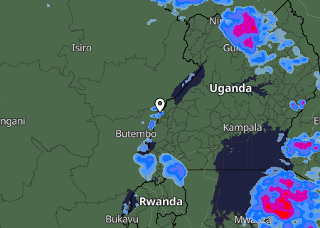 Niederschlagsprognose