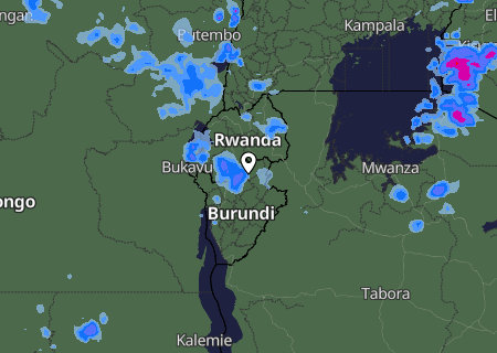 Niederschlagsprognose
