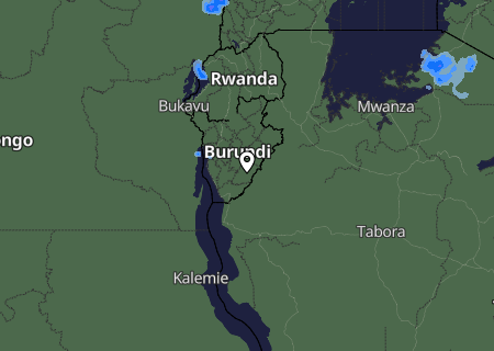 Niederschlagsprognose