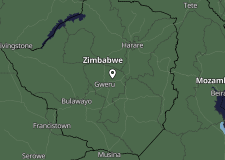 Niederschlagsprognose