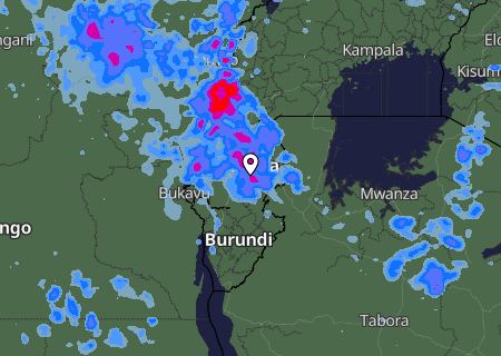 Niederschlagsprognose
