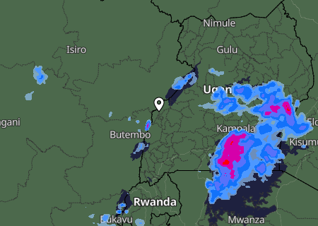 Niederschlagsprognose