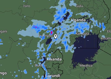 Niederschlagsprognose