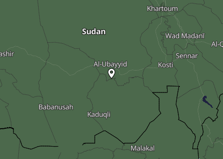 Niederschlagsprognose