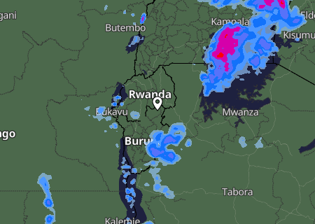 Niederschlagsprognose