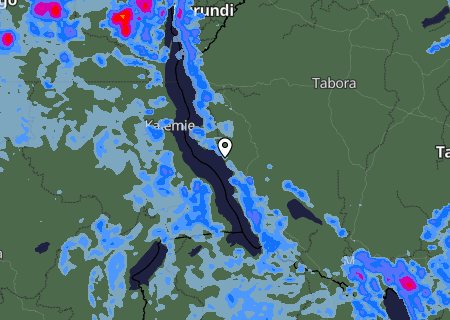 Niederschlagsprognose