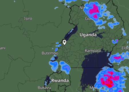 Niederschlagsprognose