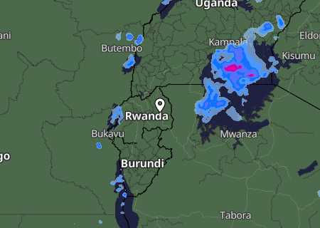 Niederschlagsprognose