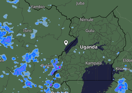 Niederschlagsprognose