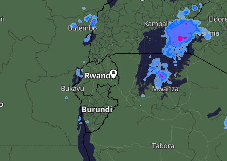 Niederschlagsprognose