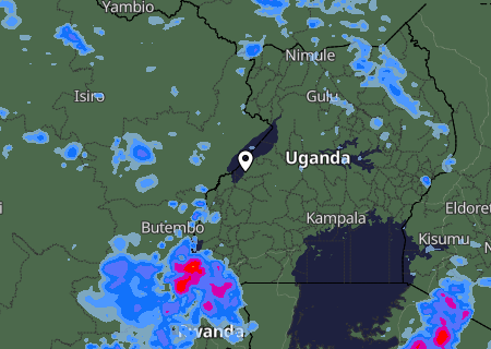 Niederschlagsprognose