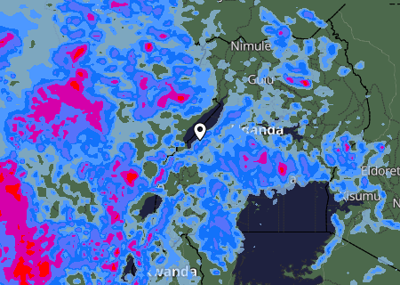 Niederschlagsprognose
