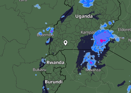 Niederschlagsprognose