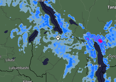 Niederschlagsprognose