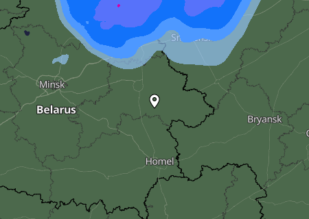 Niederschlagsprognose