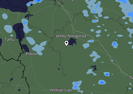 Niederschlagsprognose