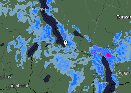 Niederschlagsprognose