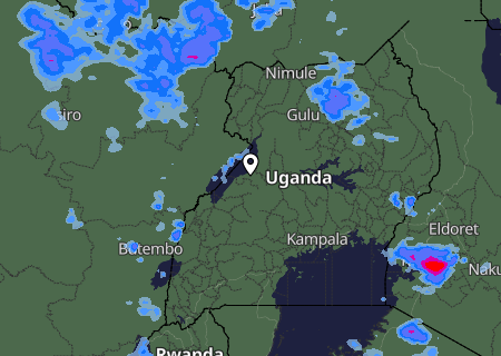 Niederschlagsprognose