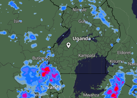 Niederschlagsprognose