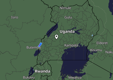 Niederschlagsprognose