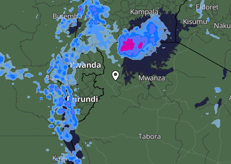 Niederschlagsprognose