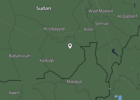 Niederschlagsprognose