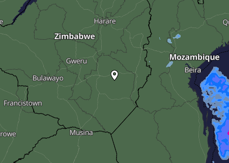 Niederschlagsprognose