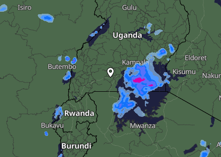 Niederschlagsprognose