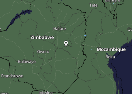 Niederschlagsprognose