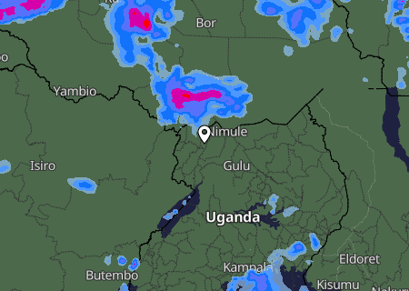 Niederschlagsprognose Niederschlagsprognose