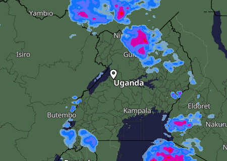Niederschlagsprognose