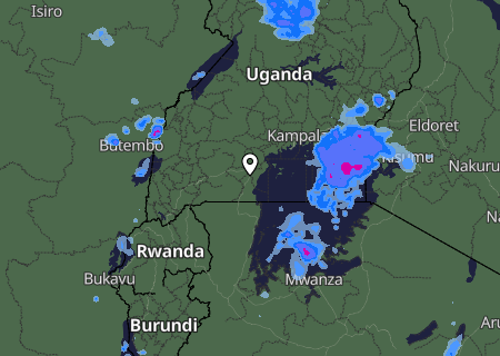 Niederschlagsprognose