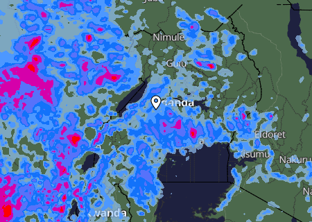 Niederschlagsprognose