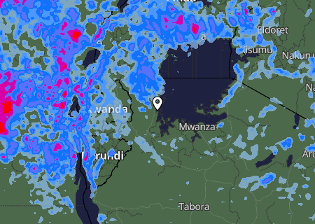 Niederschlagsprognose