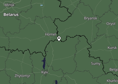 Niederschlagsprognose