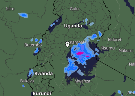 Niederschlagsprognose