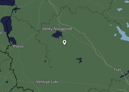 Niederschlagsprognose