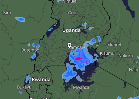 Niederschlagsprognose
