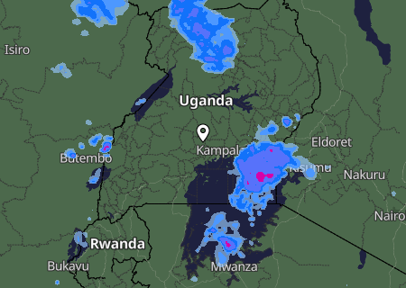Niederschlagsprognose