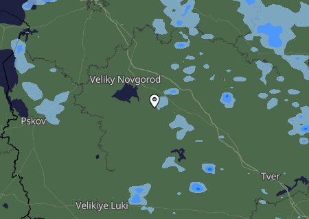 Niederschlagsprognose